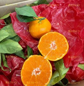 图片_20251225135302