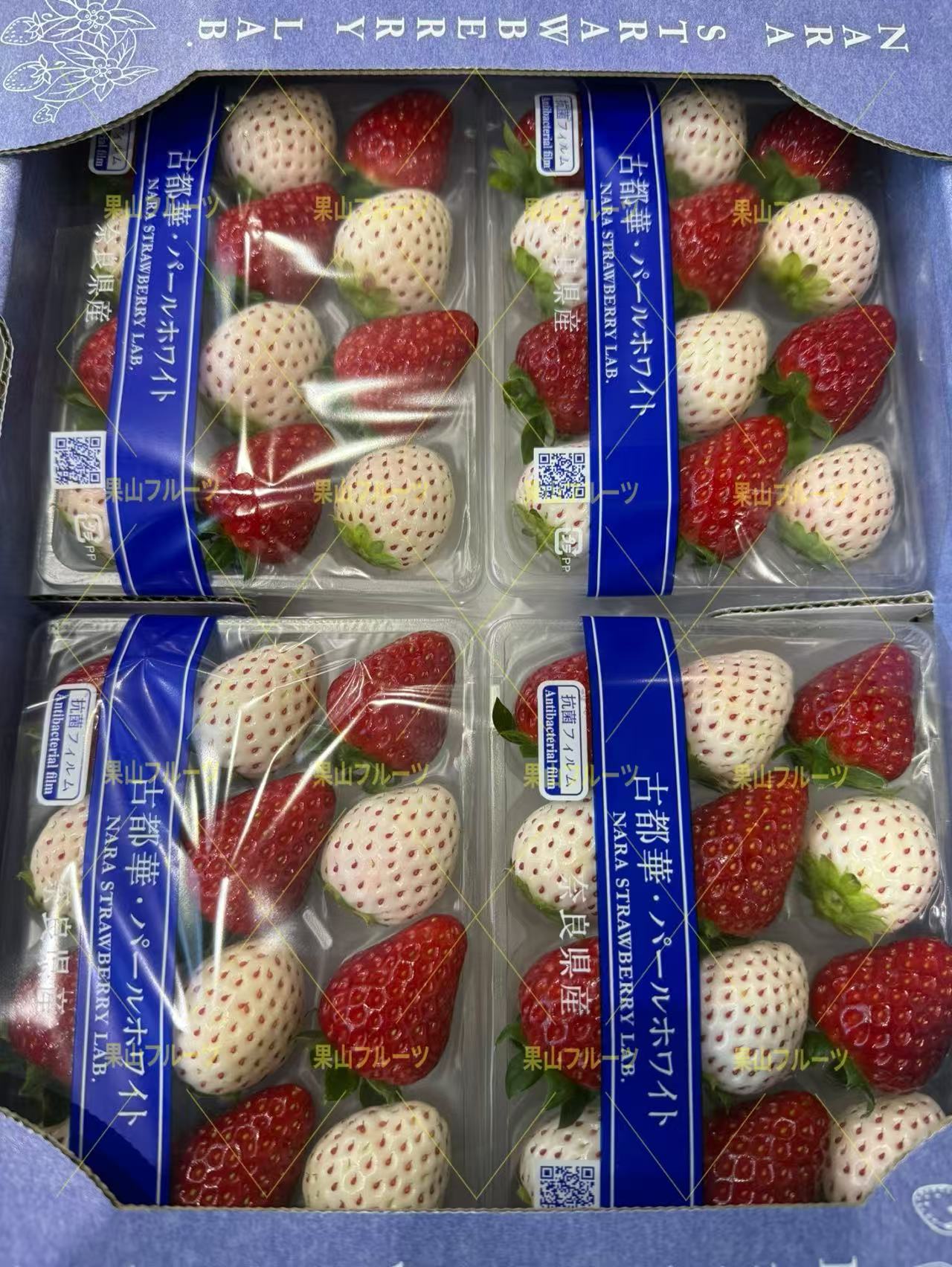 奈良産古都華+白草莓 S 一盒110g 一箱4盒入 – 果山フルーツ