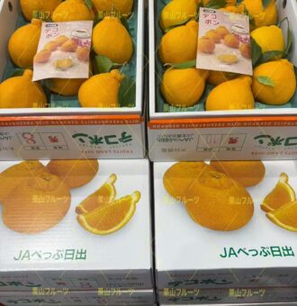 图片_20260113112908