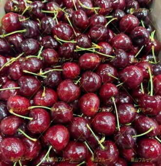 图片_20260122113706