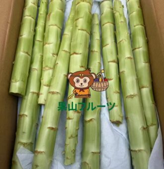 图片_20260126141714