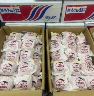 图片_20260129133010