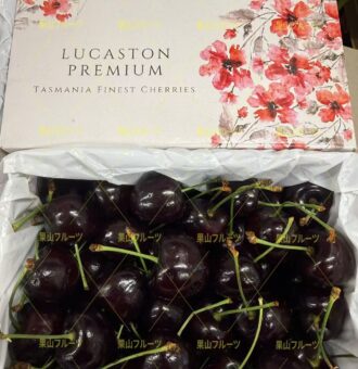 图片_20260204130058