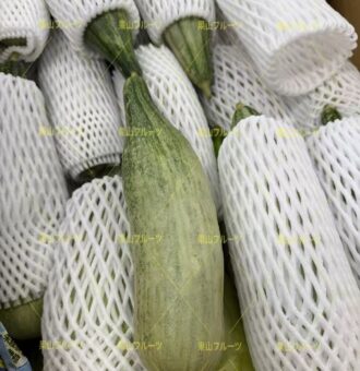 图片_20260204130951