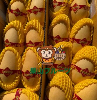 图片_20260206112208