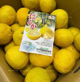 图片_20260209153236