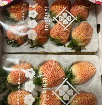 图片_20260210131141