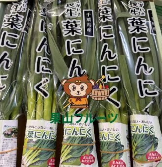 图片_20260215111241