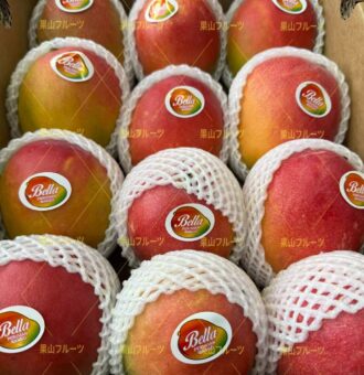 图片_20260216161519