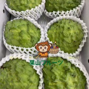 沖繩産释迦果禮盒  一箱5〜10個入 約2kg