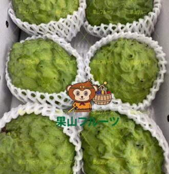 图片_20260219051944