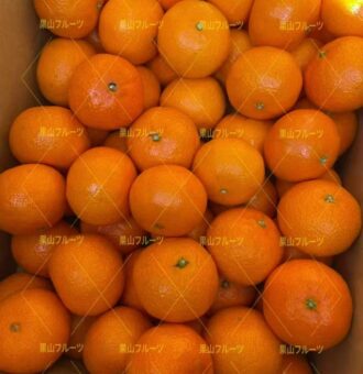 图片_20260225132001