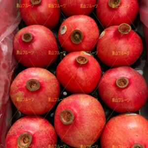 智利産红石榴 一箱12〜14個入 約4kg