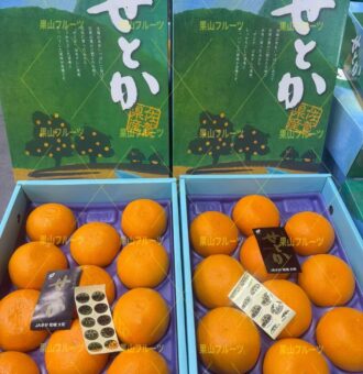 图片_20260129132047