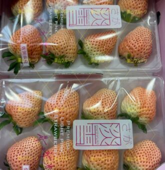 图片_20260210130435