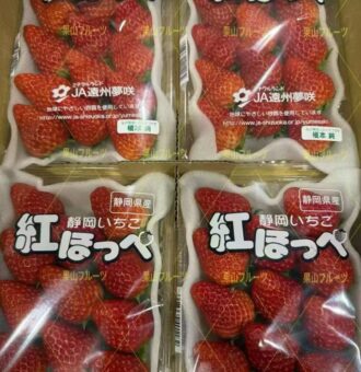 图片_20260212144114