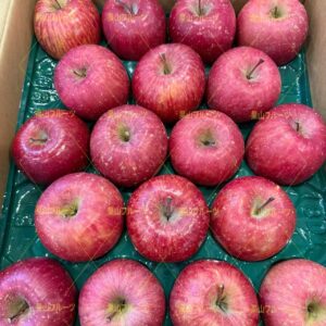 青森産サンふじ苹果 一箱36~46個入 約10kg