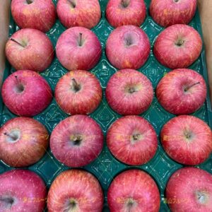 青森産サンふじ苹果 半箱18~23個 約5kg