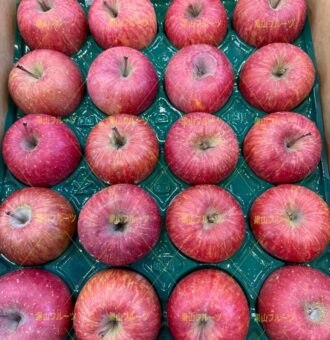 图片_20260306125740