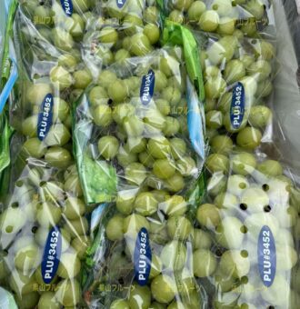 图片_20260318141951