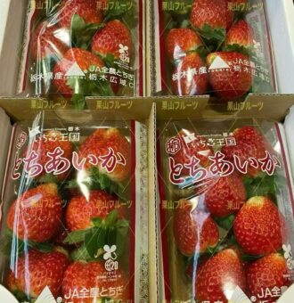 图片_20260124141705