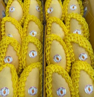 图片_20260407111454