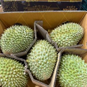 泰国産愛馬仕托曼尼榴莲 A果 兩個 約3.2kg