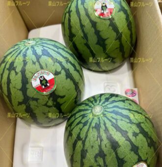 图片_20260423051138