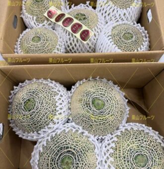 图片_20260423053239