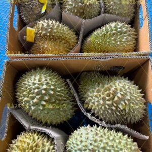 泰国産金枕榴莲 一箱4~5個入 約9.5kg