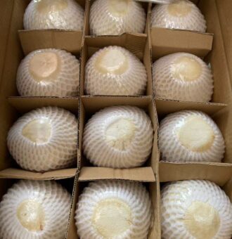 图片_20260429113531