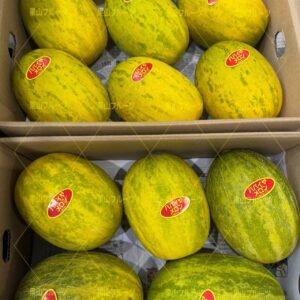 熊本産木瓜哈密瓜 一箱4~6個入 約4kg