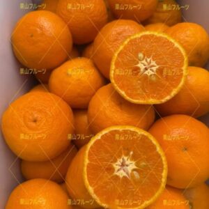 愛媛產 曼达琳蜜橘L~2L号 一箱約5kg