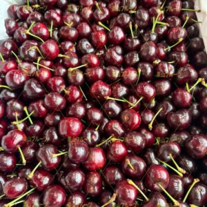 美国産大号9.5R车厘子