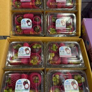 泰国産方盒山竹一盒4~5個入 一箱8盒入