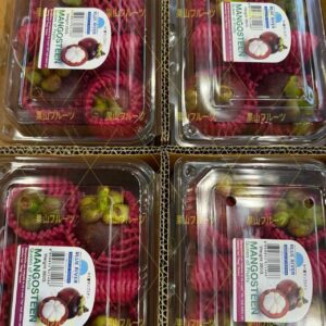 泰国産方盒山竹 一盒4~5個入 半箱4盒入