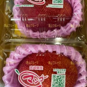 宮崎産完熟芒果 A4L 一盒1個約500g 3盒入