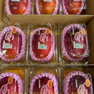 宮崎産完熟芒果A4L 一盒1個約500g 9盒入