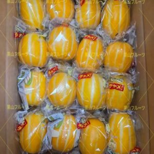 韩国産精裝香瓜 中号一箱32個入 約10kg