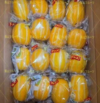 图片_20260419115320