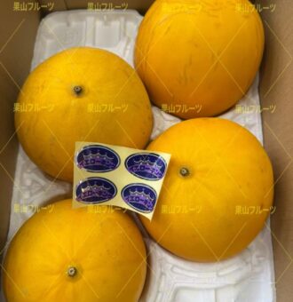 图片_20260425052253