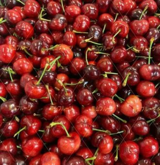 图片_20260425141421