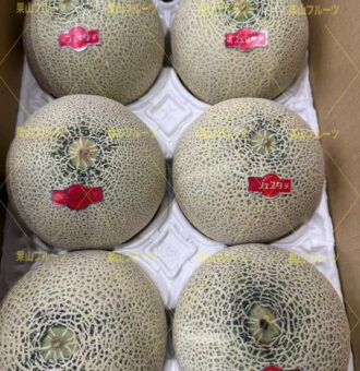 图片_20260427153304