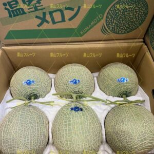 熊本産 アールス青肉 哈密瓜 一箱6個入 約8kg