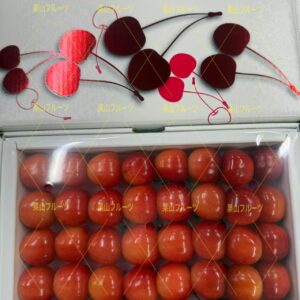 山形産佐藤錦樱桃 禮盒300g