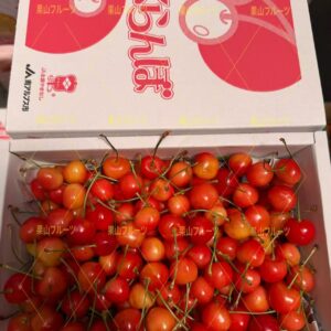 山梨産樱桃 小箱 約1kg