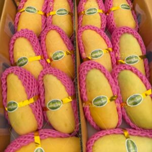 泰国產粉芒 半箱6〜8個入 約2.5kg