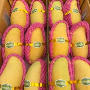 泰国産粉芒 一箱12〜16個入 約5kg