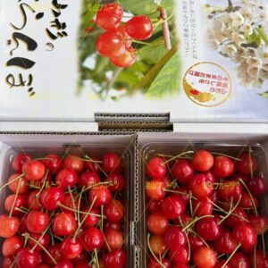 山形産佐藤錦櫻桃 小箱2盒入 約1kg