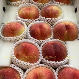 山梨産一宫桃 一箱12〜20個入 約5kg